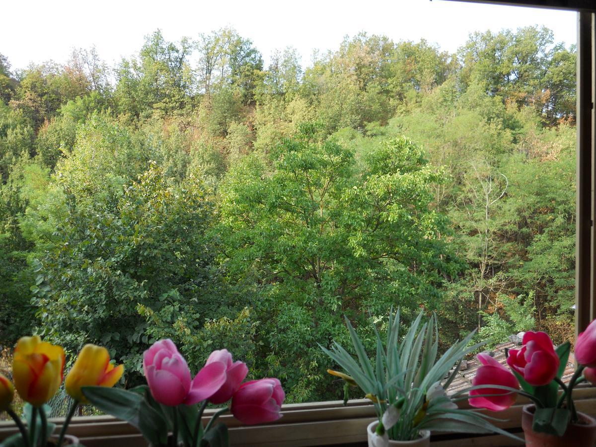 Bed and Breakfast Casa Clotilde Stazzano Exterior foto